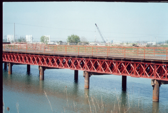 Cb250 vorfabrizierter Stahl Bailey Suspension Bridge Length 25-87.6m
